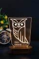 İsme Özel Baykuş Tasarımlı 3D Led Lamba