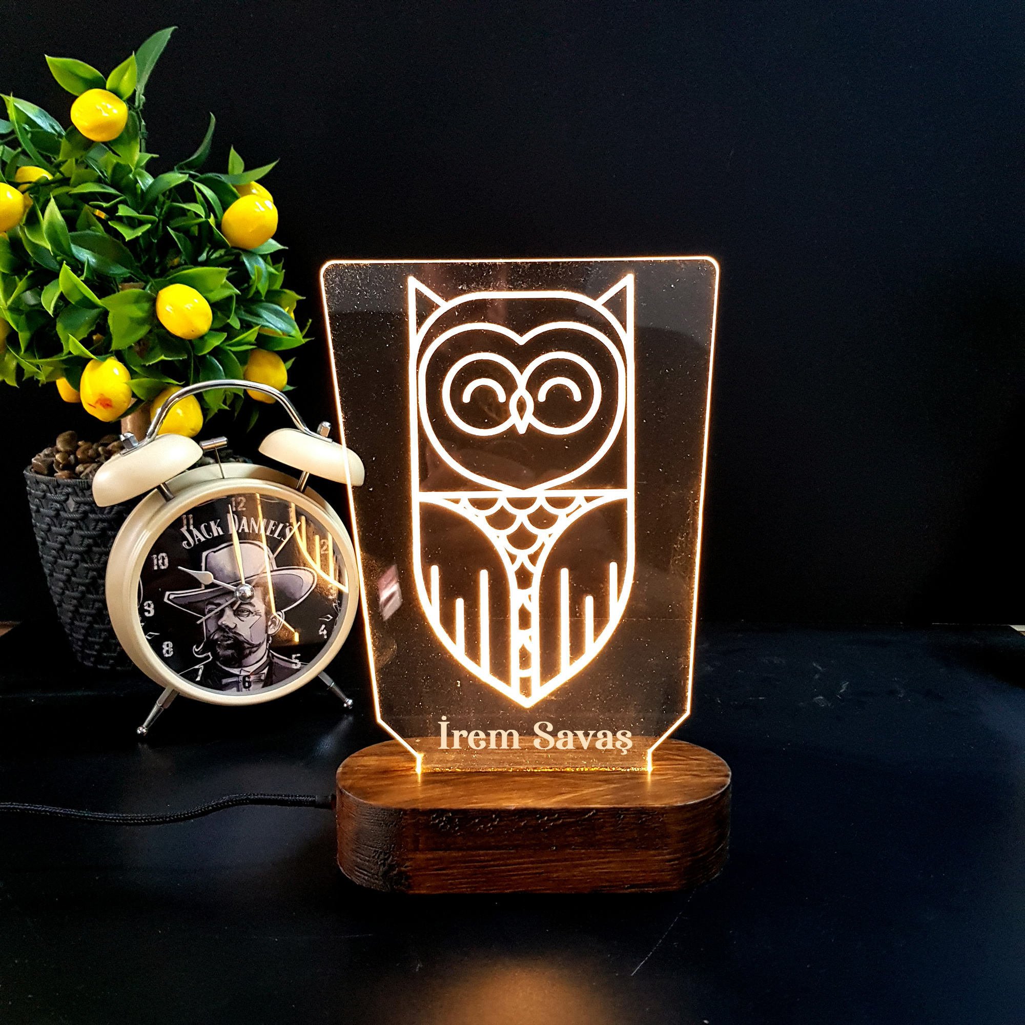 Kişiye Özel Baykuş Tasarımlı 3D Led Lamba