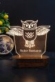 Kişiye Özel Baykuş Tasarımlı 3D Led Lamba